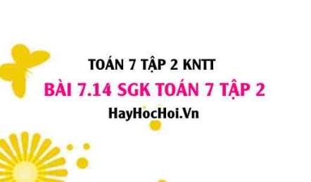 Bài 7.14 SGK Toán 7 tập 2 Kết nối tri thức